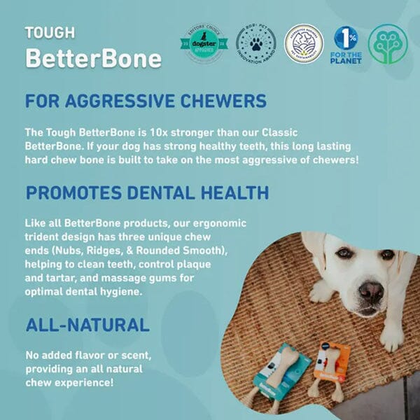 BETTERBONE - Tough Natural Chew Toy - Image 6