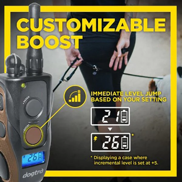 DOGTRA - 1900S Hands Free Plus Boost & Lock Remote Trainer - Image 3