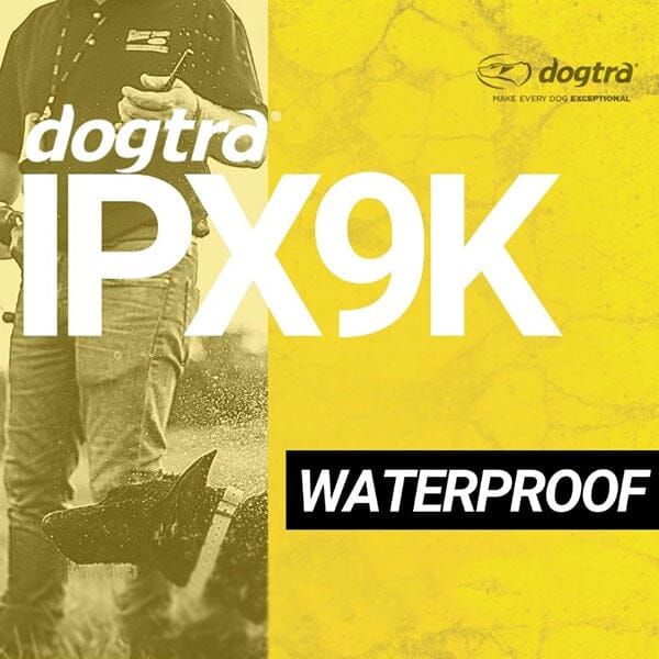 DOGTRA - 200C Intuitive Compact Remote Trainer - Image 6