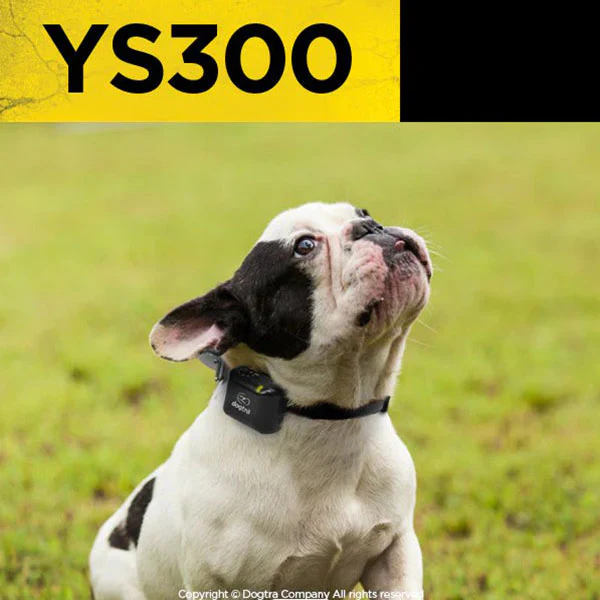 DOGTRA - YS300 No Bark Collar - Image 4
