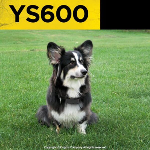 DOGTRA - YS600 No Bark Collar - Image 4
