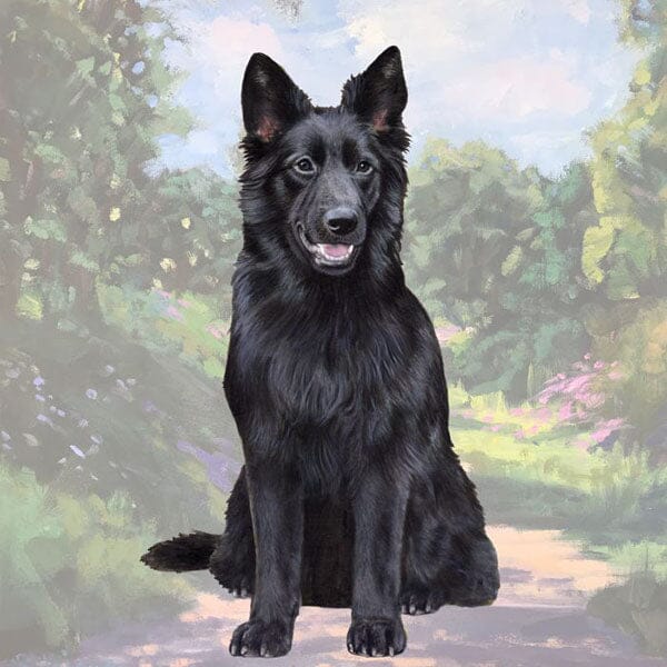 E&S - Black German Shepherd Square Coaster