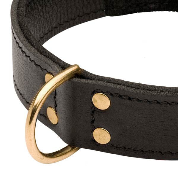 FOR DOG TRAINERS - 2 Ply Leather Agitation Dog Collar - Image 3