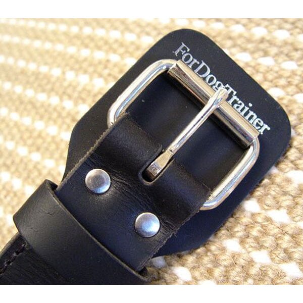 FOR DOG TRAINERS - Extra Durable 2 Ply Leather Dog Collar With Handle - Image 6