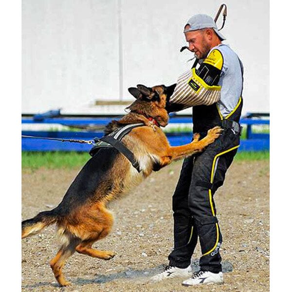 FOR DOG TRAINERS - Intermediate Jute Dog Training Sleeve - Image 5