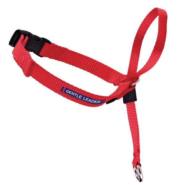 PETSAFE - Gentle Leader Headcollar - Image 3