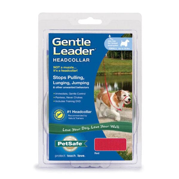 PETSAFE - Gentle Leader Headcollar - Image 9