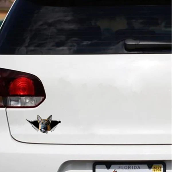 German Shepherd Growling Out - Sticker 5" x 2.75"