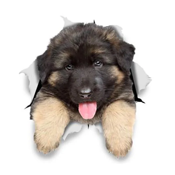 German Shepherd Puppy Busting Out 6" x 5.5" - Sticker - Image 2