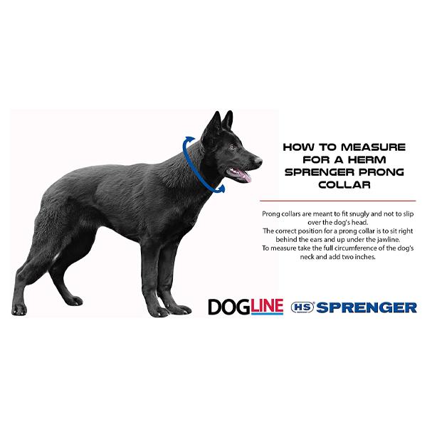 HERM SPRENGER - Black Stainless Steel ULTRA-PLUS Training Collar with Center-Plate and ClicLock Quick-Release Buckle - Image 7