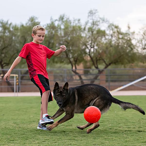 JOLLY PETS - Jolly Soccer Ball - Image 6