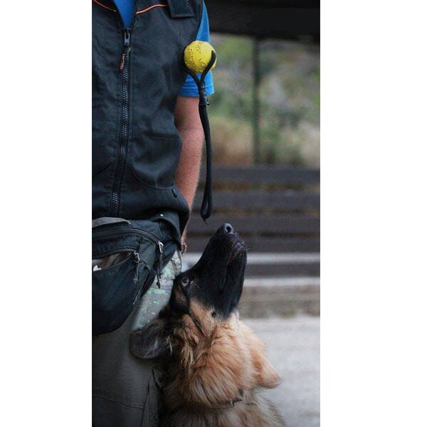K9 EVOLUTION - MCRS Duo Rubber Magnet 27mm (vest not required) - Image 3