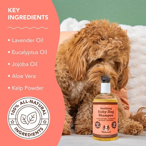 NATURAL DOG COMPANY - Itchy Dog Shampoo - Image 3