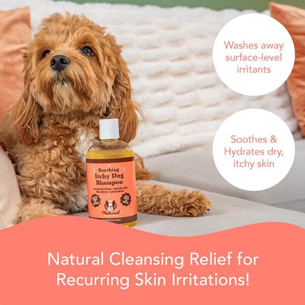 NATURAL DOG COMPANY - Itchy Dog Shampoo - Image 4
