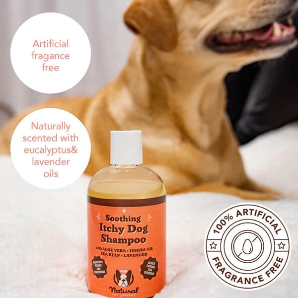 NATURAL DOG COMPANY - Itchy Dog Shampoo - Image 6