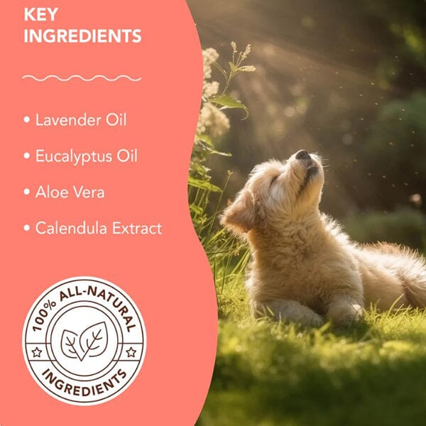 NATURAL DOG COMPANY - Itchy Dog Spritz - Image 3