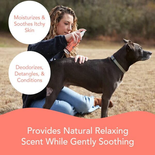 NATURAL DOG COMPANY - Itchy Dog Spritz - Image 4