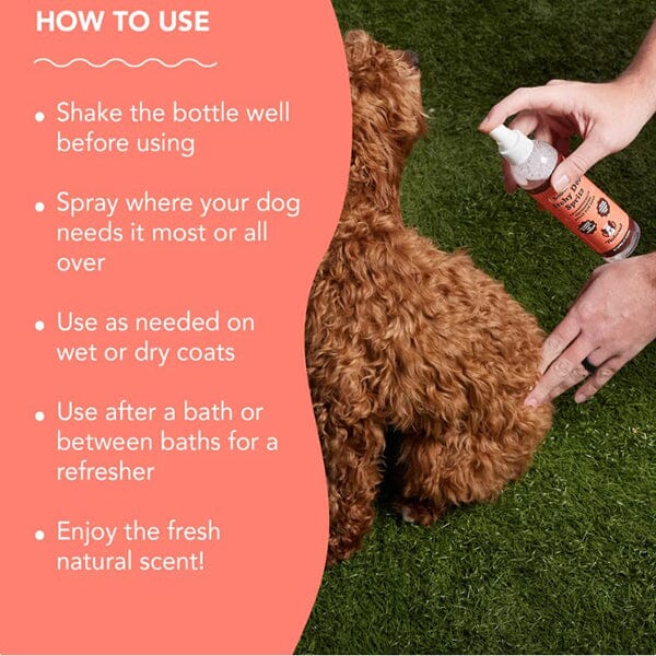 NATURAL DOG COMPANY - Itchy Dog Spritz - Image 5