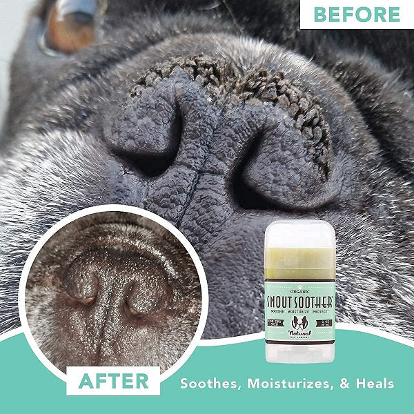 NATURAL DOG COMPANY - Snout Soother 2oz Stick - Image 5