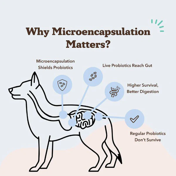 NATURAL DOG COMPANY - Super-Flora Probiotic Supplement - Image 4