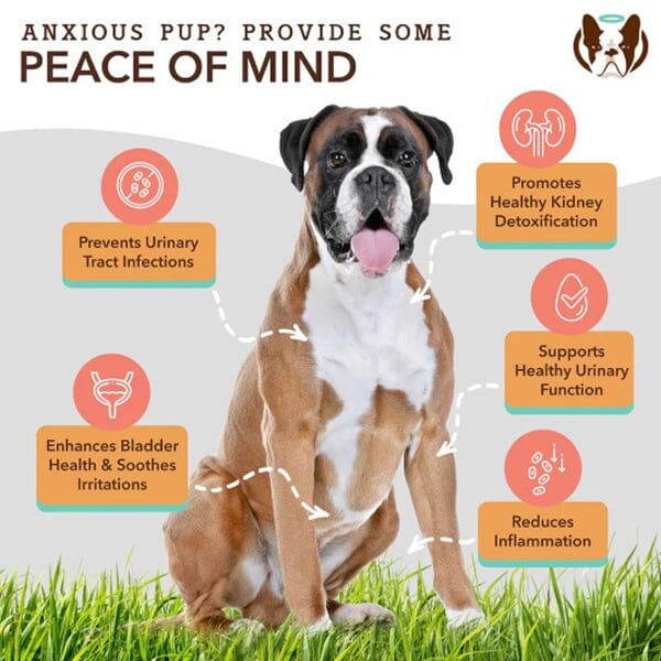 NATURAL DOG COMPANY - Urinary & Bladder Supplement - Image 2