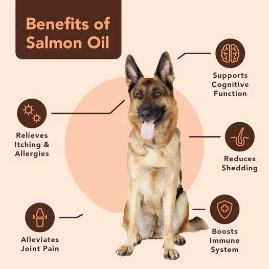 NATURAL DOG COMPANY - Wild Alaskan Salmon Oil - Image 3