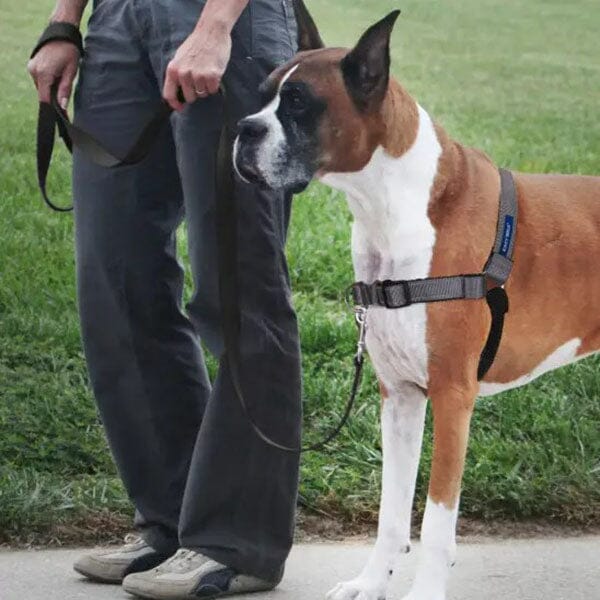 PETSAFE - Deluxe Easy Walk® No Pull Harness - Image 5