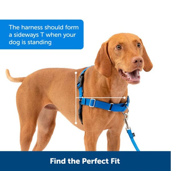 PETSAFE - Easy Walk® Harness, No Pull Dog Harness - Image 10