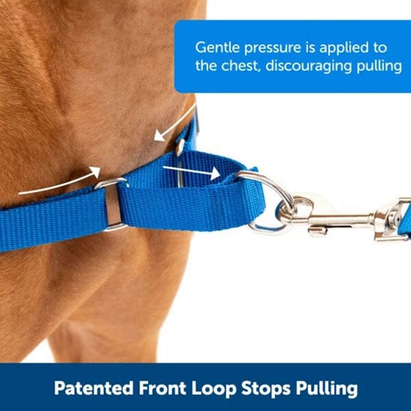 PETSAFE - Easy Walk® Harness, No Pull Dog Harness - Image 7