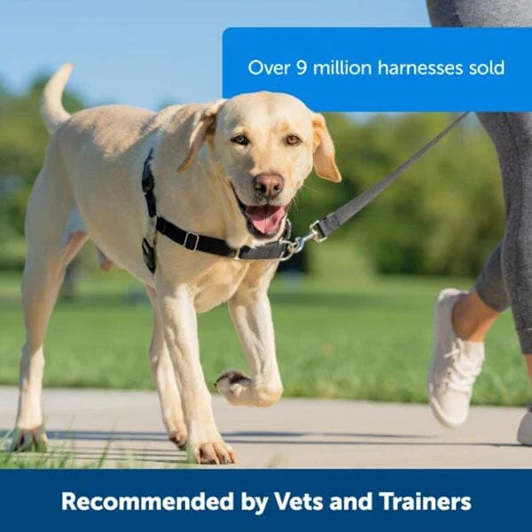 PETSAFE - Easy Walk® Harness, No Pull Dog Harness - Image 8