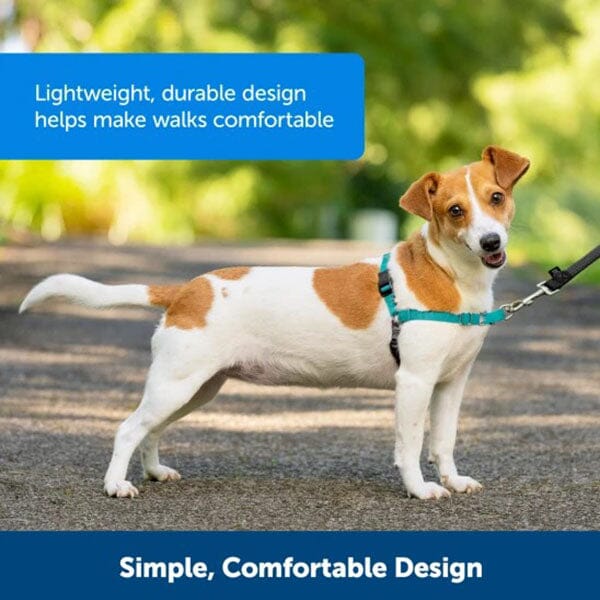 PETSAFE - Easy Walk® Harness, No Pull Dog Harness - Image 9