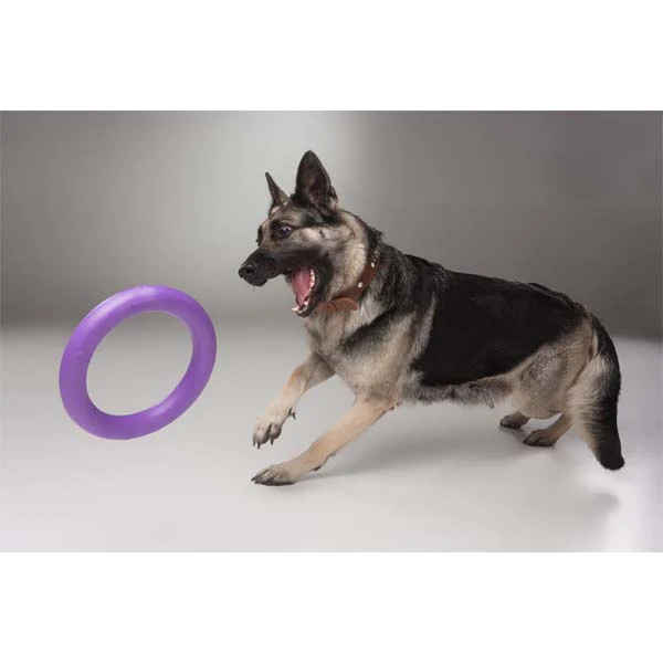 COLLAR - Puller Fitness Tool Dog Toy - Midi - Image 3