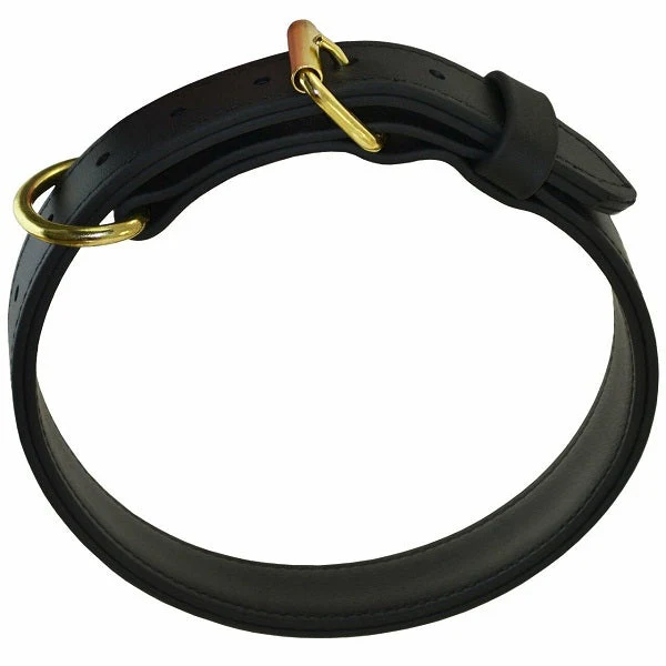 RAY ALLEN - 1 1/4" Double-Layered Biothane Collar - Image 4