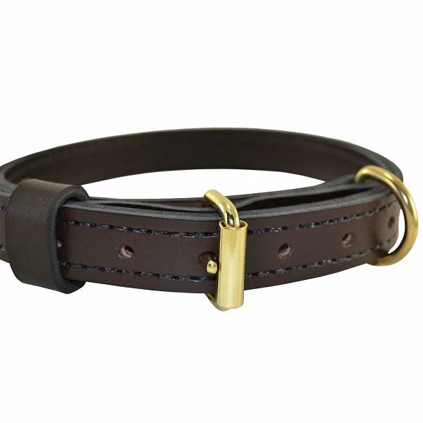 RAY ALLEN - 1" Premier Collar - English Rein Brown Leather - Image 3