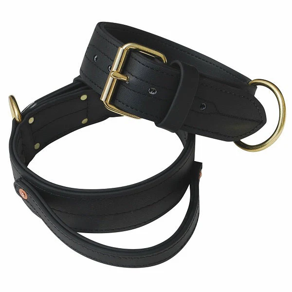RAY ALLEN - Double Layered 2" Biothane Collar With Handle - Image 3