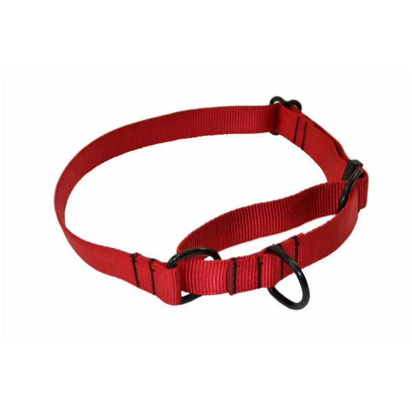 RAY ALLEN - Martingale Nylon Collar - Image 4