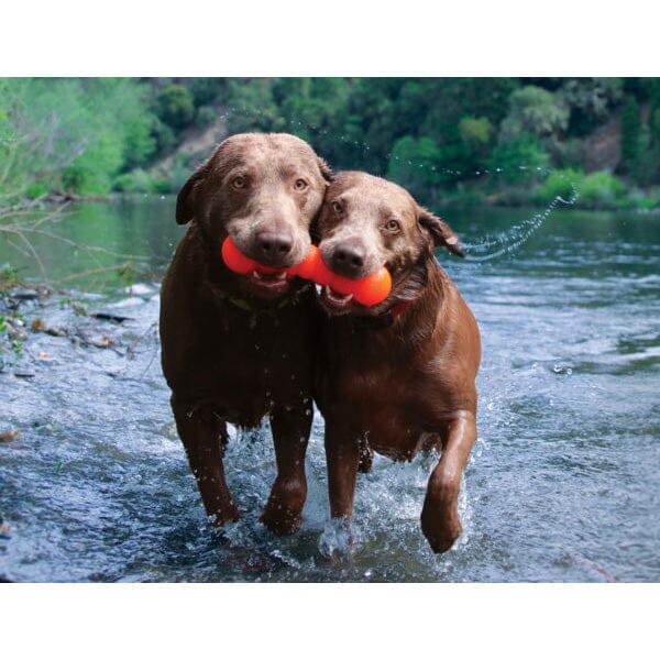 RUFF DAWG - Dawg Buster Indestructible Rubber Floating Retrieving Toy - Guaranteed For Life - Image 3