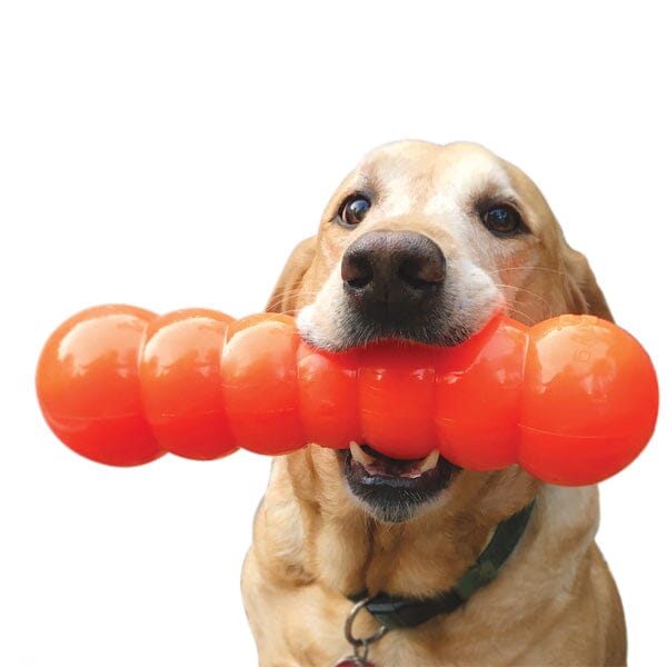 RUFF DAWG - Dawg Buster Indestructible Rubber Floating Retrieving Toy - Guaranteed For Life - Image 4