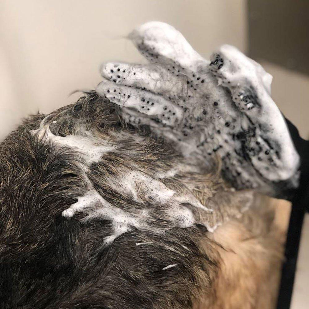 TOP PERFORMANCE - Shed Patrol Deshedding and Grooming Gloves - Image 8