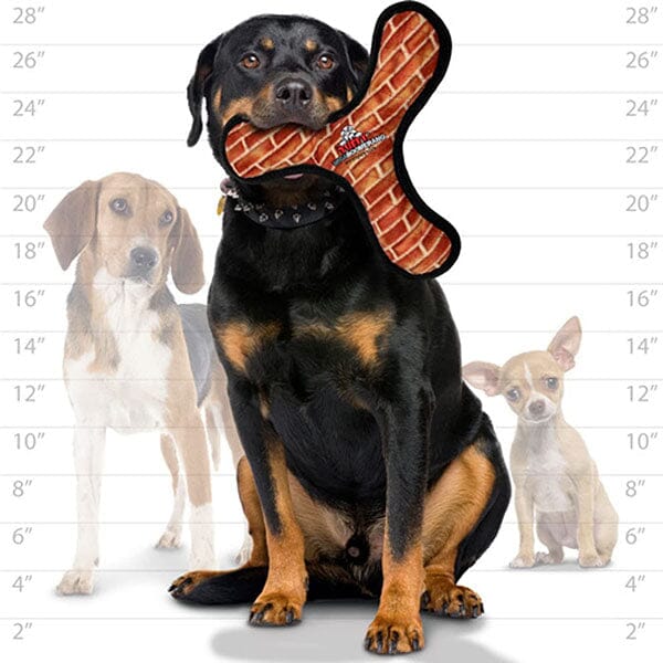 TUFFY - Mega Boomerang, Durable, Tough, Squeaky Dog Toy - Image 7