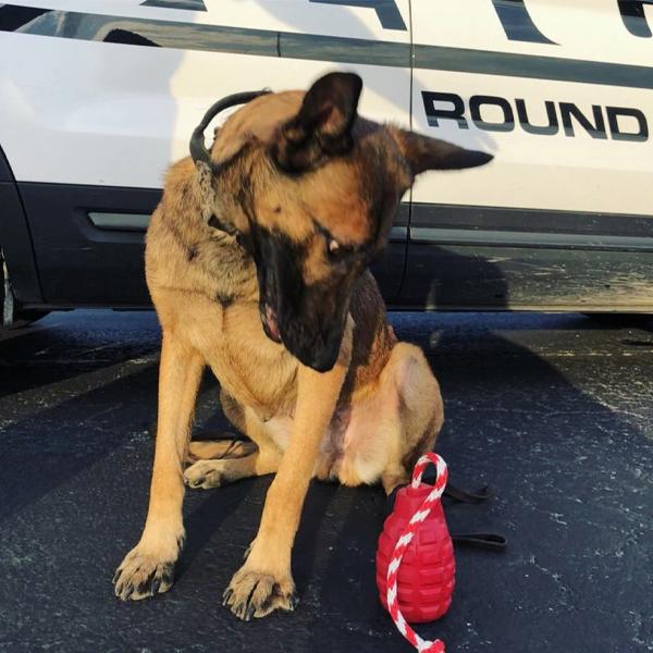 SODAPUP - USA-K9 Grenade Durable Rubber Chew Toy & Treat Dispenser - Red - Image 5