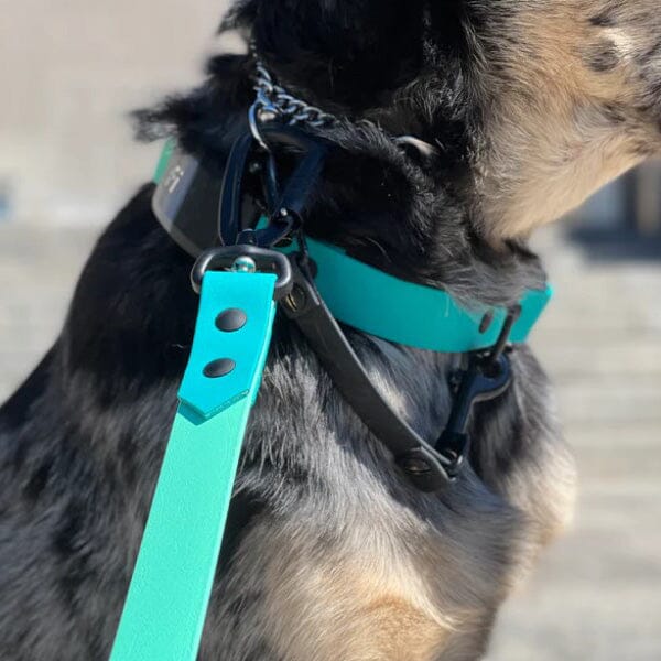 WHAT A CUTIE - Safety Clip Light Weight - Image 3